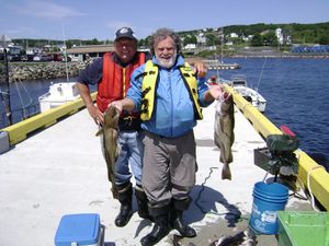 Catching cod07